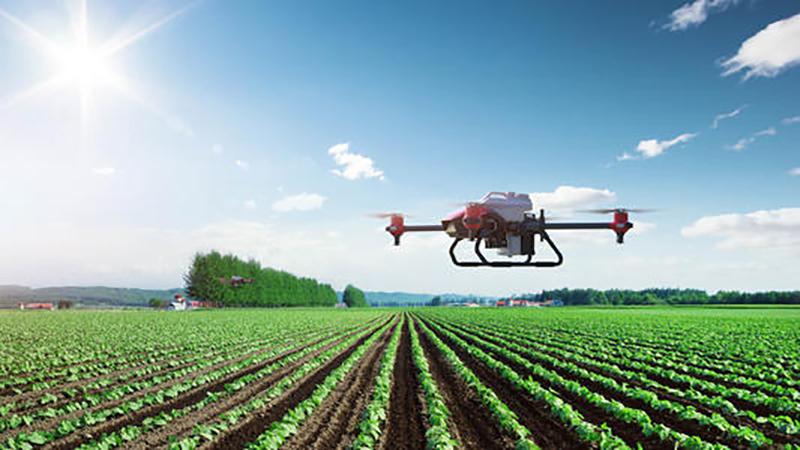 农资电商有没有未来新农业时代农资企业发展方向在哪里
